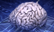 The Future of Machine Intelligence The Future of Machine Intelligence