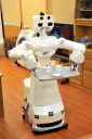 Toyota Robot Maid Designed to Learn from Past Failures Toyota Robot Maid Designed to Learn from Past Failures