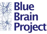 The Blue Brain Project